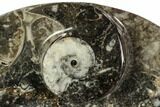 Oval Shaped Fossil Goniatite Dish - Morocco #108015-1